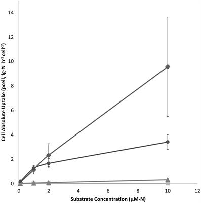 Nitrogen and phosphorus uptake kinetics in cultures of two novel picoplankton groups responsible for a recent bloom event in a subtropical estuary (Indian River Lagoon, Florida)